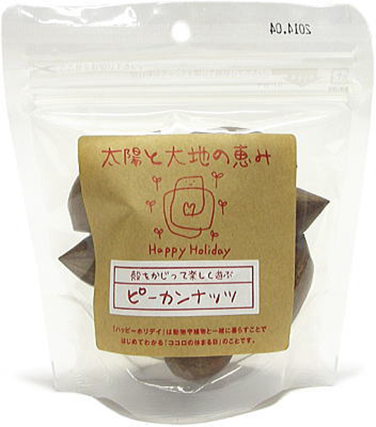 太陽と大地の恵み21 ピーカンナッツ10粒