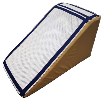 inuneru らくらくスロープ 青ライン