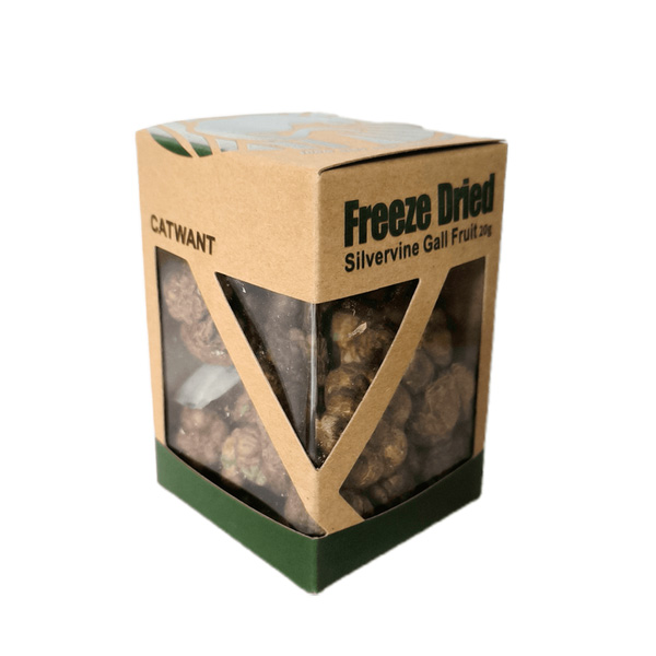 フリ-ズドライ虫えい果20ｇ　CW301