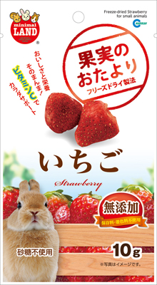 果実のおたより いちご