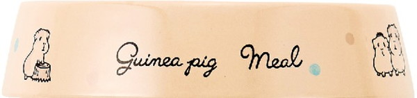 モルモットの食べやすい 食器