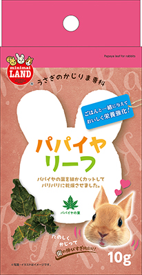 かじりま専科 パパイヤ リーフ