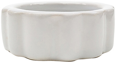 ジオ ディッシュ M/L （ Mサイズ ）