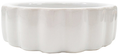 ジオ ディッシュ Lサイズ