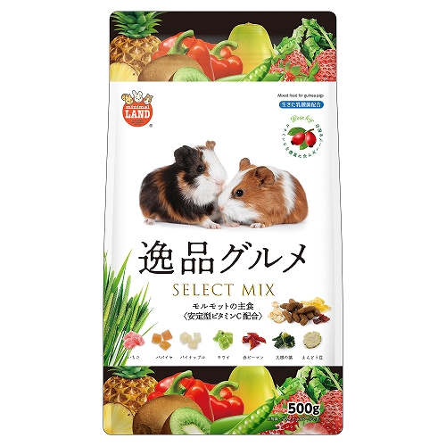 モルモットの主食 逸品グルメ500g ML‐593