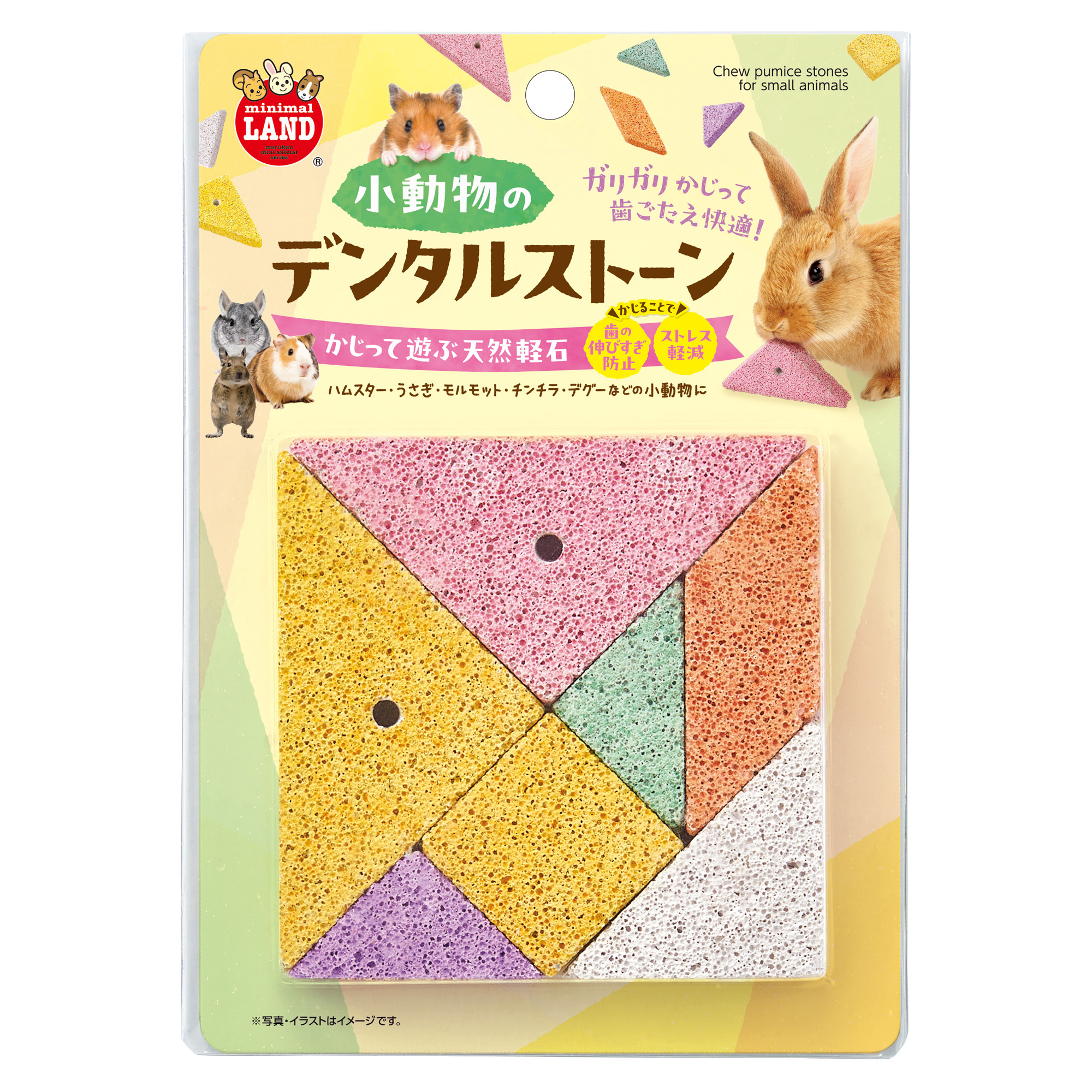 小動物のデンタルストーン