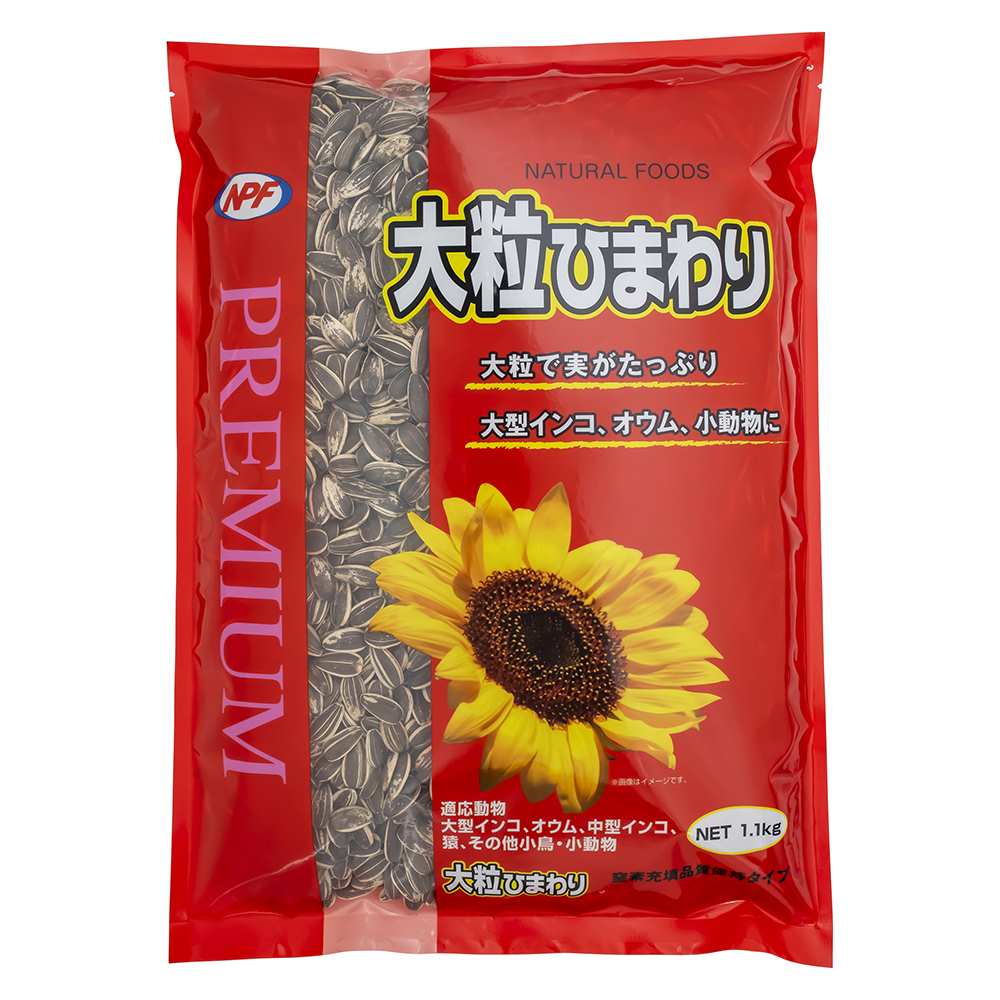 プレミアム　大粒ひまわり 1.1kg