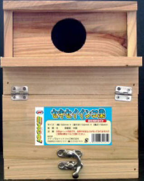 エクセル セキセイインコ巣