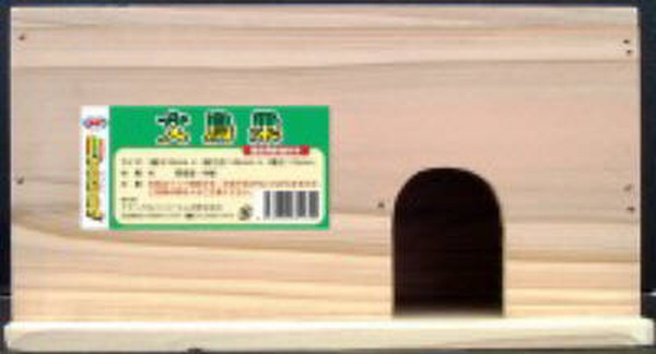 エクセル 文鳥巣