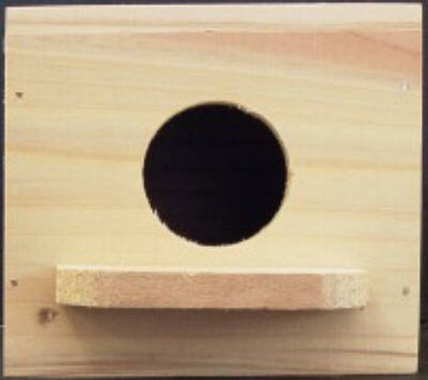 エクセル 十姉妹巣