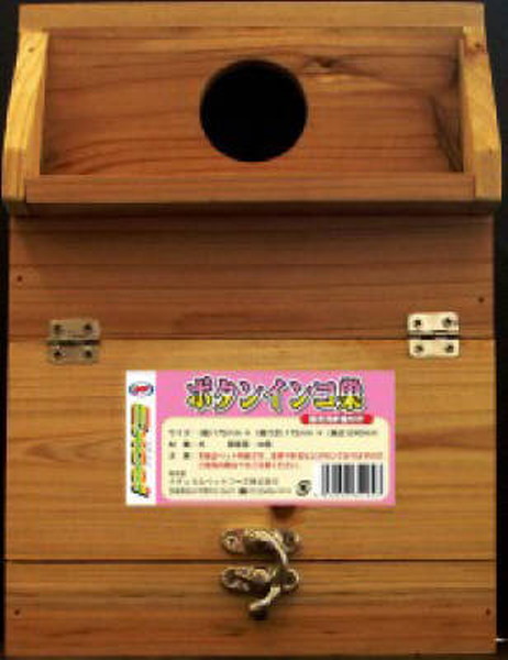 エクセル ボタンインコ巣