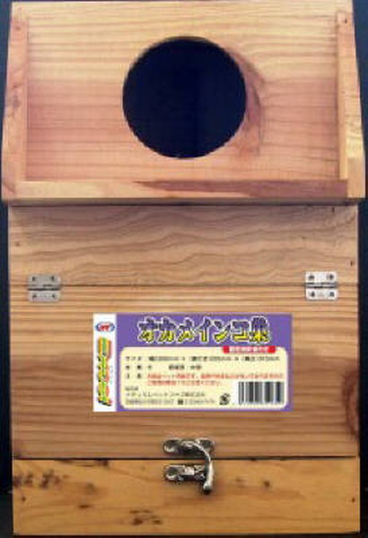 エクセル オカメインコ巣