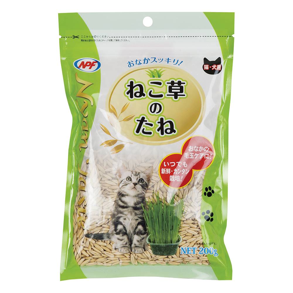 NyanTaste　ねこ草のたね 200g