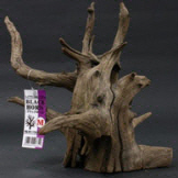 ブラック ホーン Mサイズ