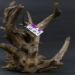 ブラック ホーン Lサイズ