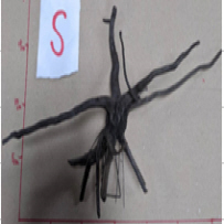 グレーブ ランチ 各サイズ （ Sサイズ ）