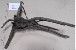 グレーブ ランチ Lサイズ