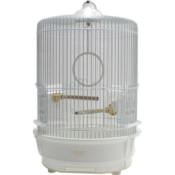 R‐440 M 白色 塗装 P