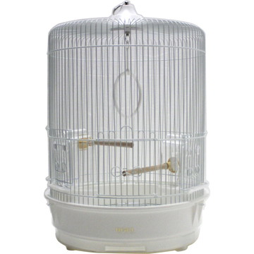 R-440 LL 白色 塗装 P