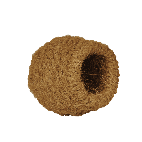 ココナッツ ツボ巣 中