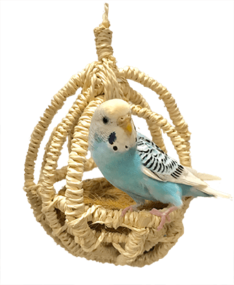 小鳥のゆらゆらハンモック