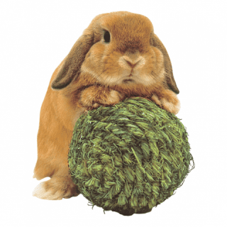 わらっこ倶楽部 りんりんボール