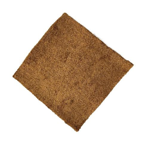 情熱　ほりほりココナッツランド