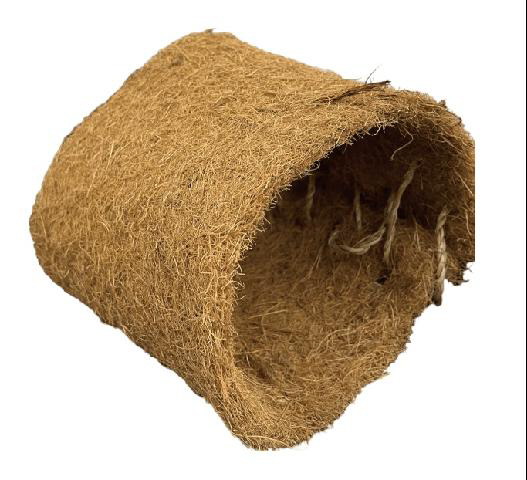 情熱 ほりほり ココナッツトンネル