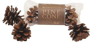 PINE CONE まつぼっくり 3個入り