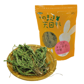 そのまんま天日干し タンポポの葉