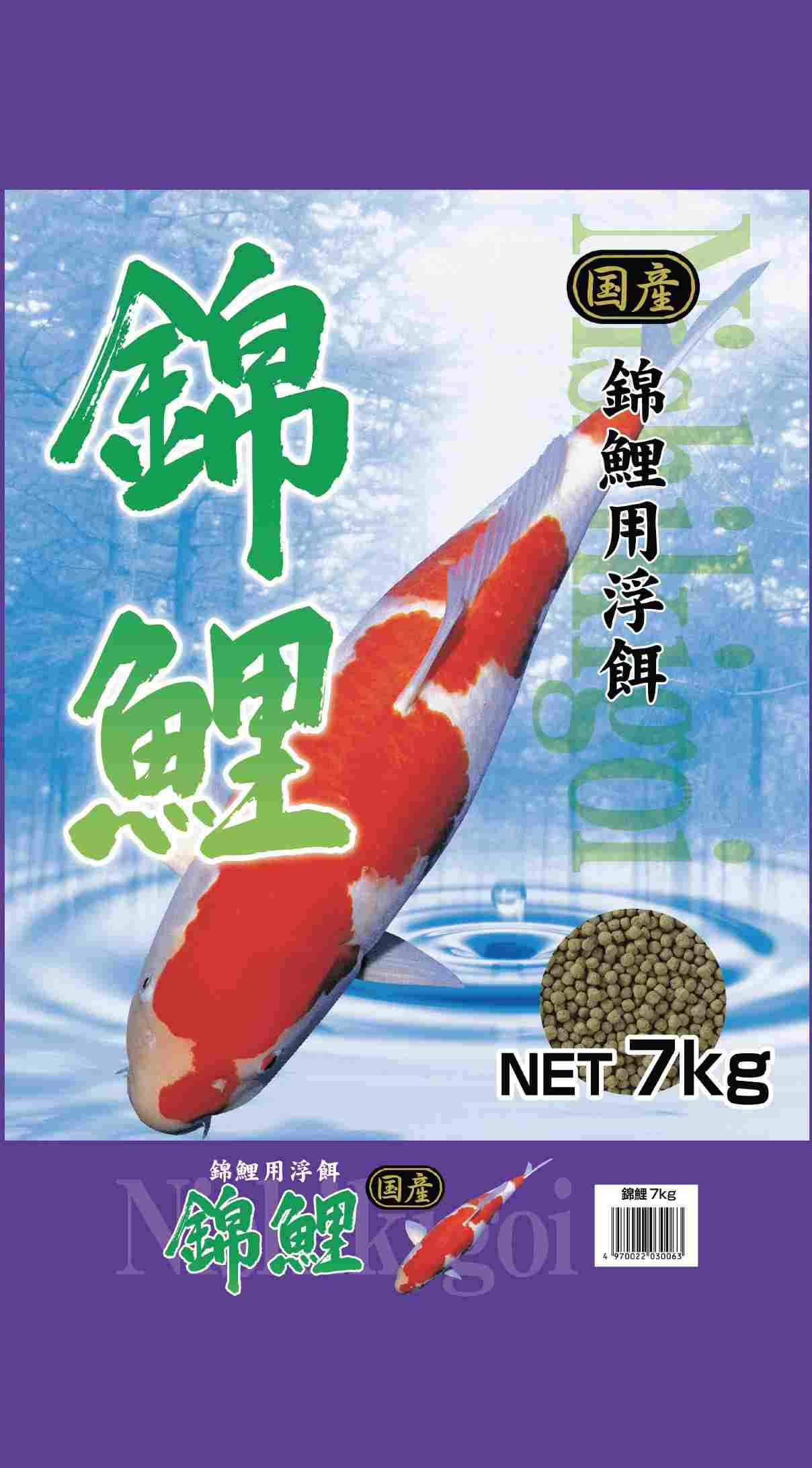 錦鯉 7kg