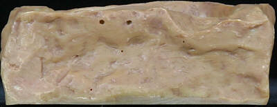 ウォーター ディッシュ S PT2801