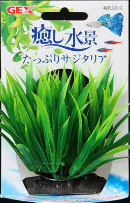 癒し水景 たっぷり サジタリア