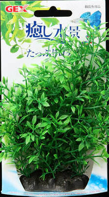 癒し水景 たっぷり ロタラ