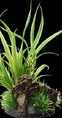 癒し水景 アクアキャンバス シペルス