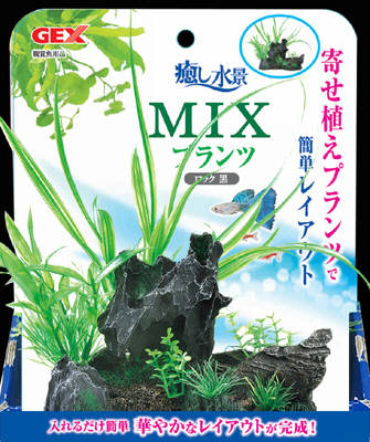癒し水景 MIXプランツ ロック 黒