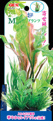癒し水景 MIXプランツ M アポノ