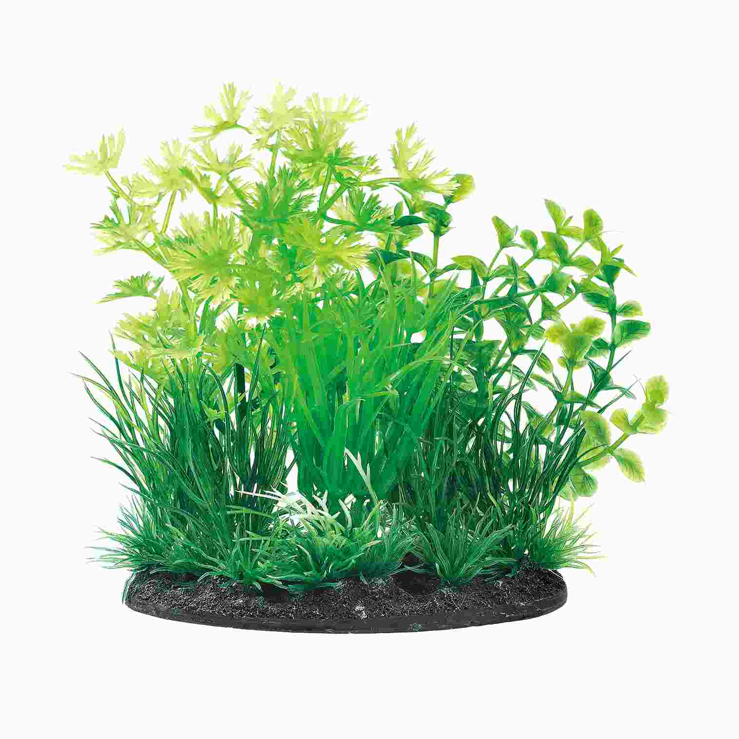 ジェックス 癒し水景　MIXプランツ　Lロタラ