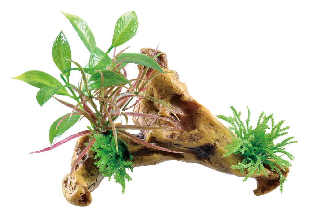 ジェックス 癒し水景　水草付き流木　ニードル