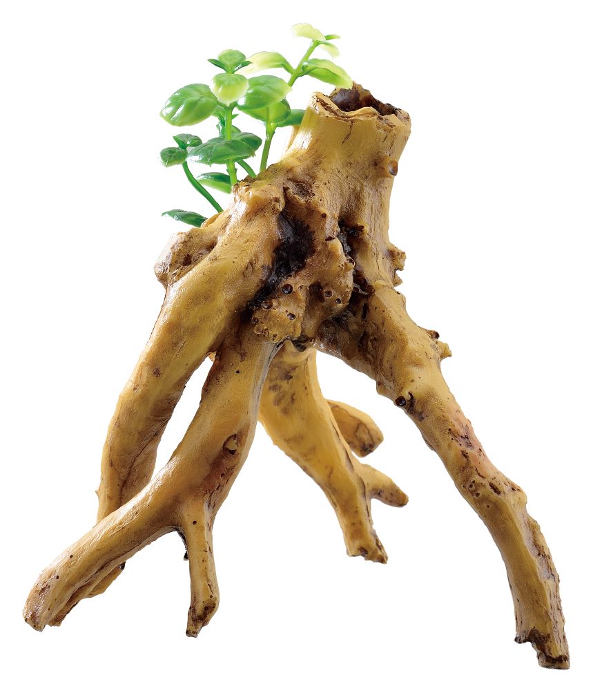 ジェックス 癒し水景　水草付き流木　ブランチ