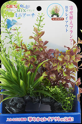 癒し水景 MIXプランツ ミニアーチ レッドロタラ