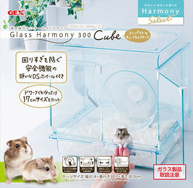 グラスハーモニー 300 Cube