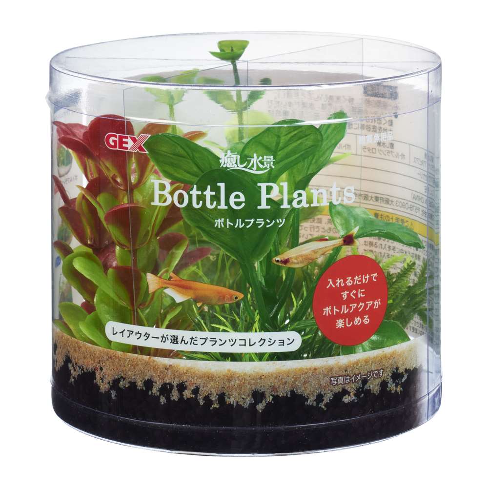 ジェックス 癒し水景　ボトルプランツ　アヌビアス