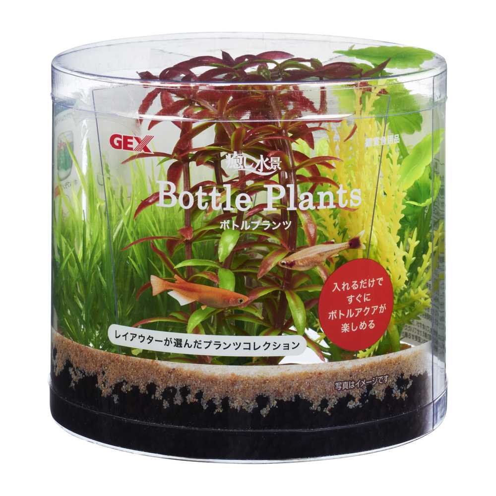 ジェックス 癒し水景　ボトルプランツ　ロタラ