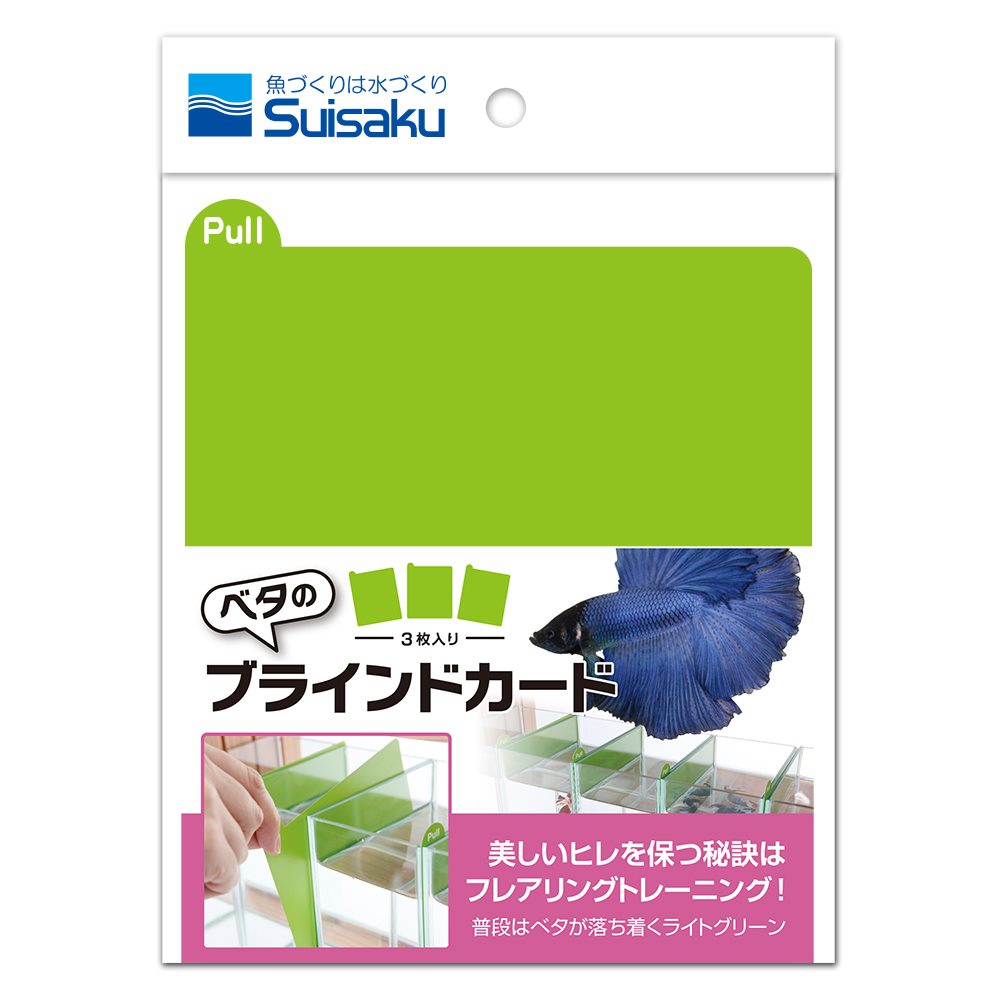 ベタのブラインドカード 3枚入り