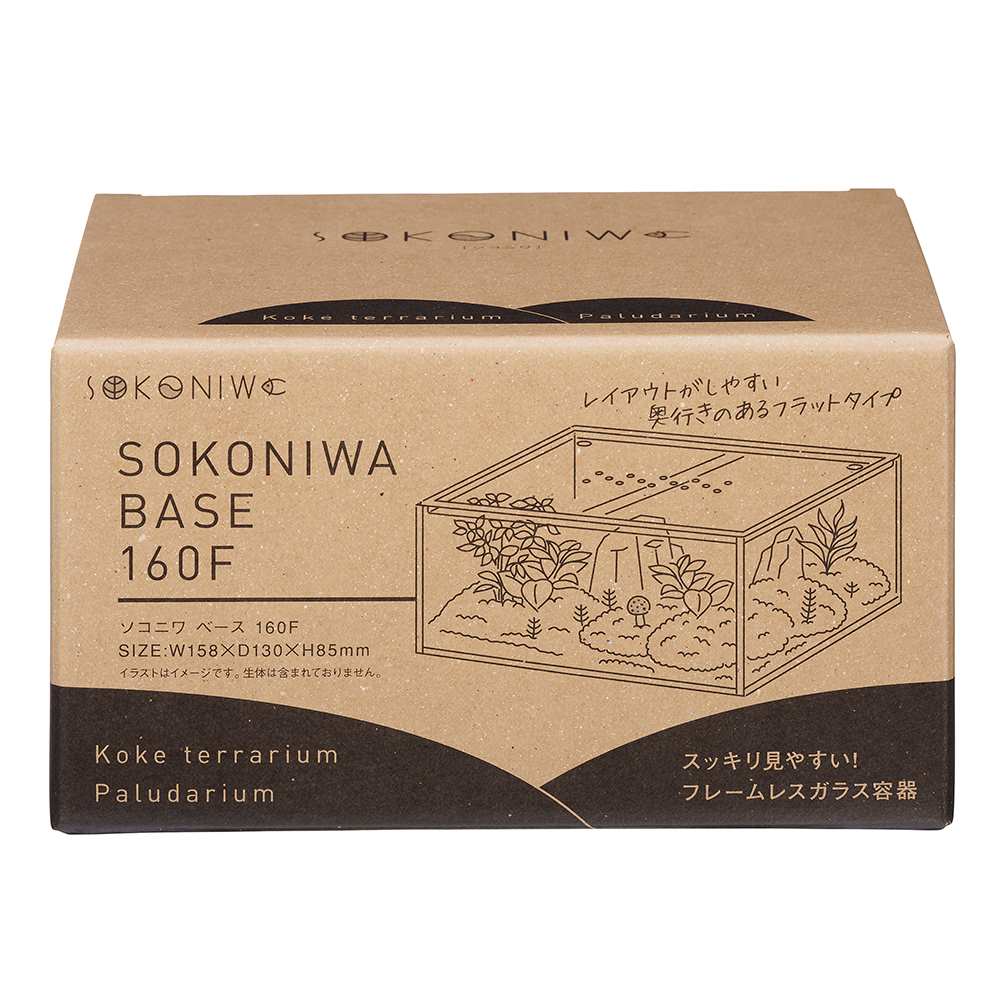 ソコニワ ベース 160F