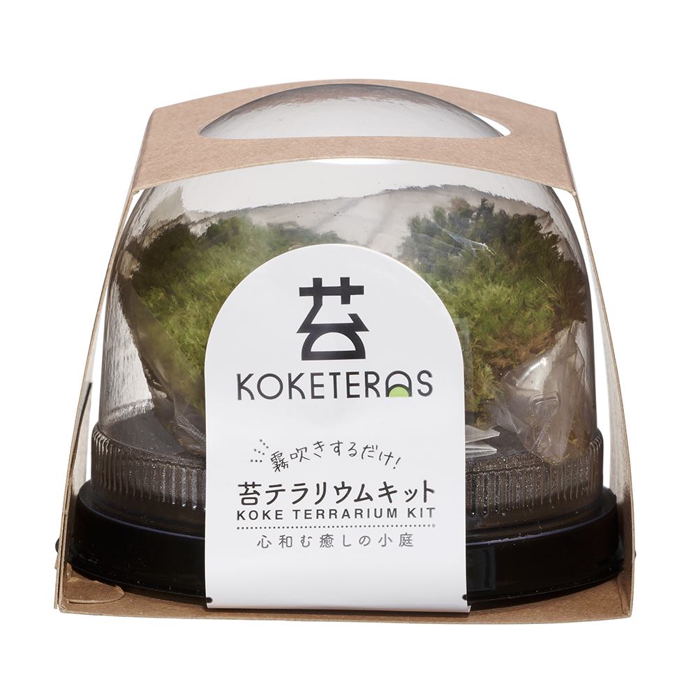 ソコニワ 苔テラリウムキット