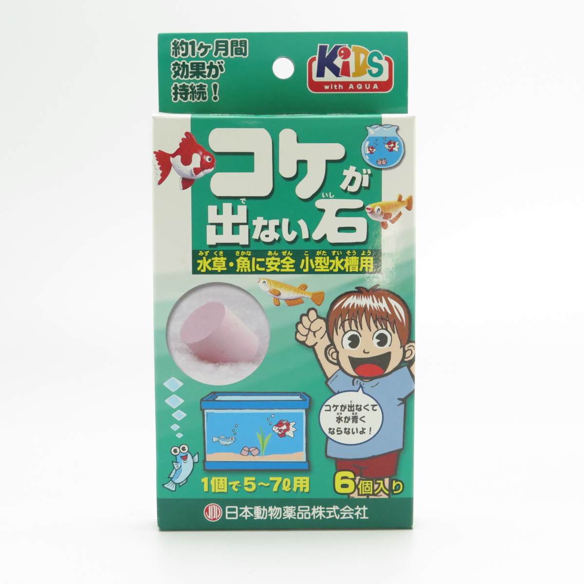KID’S コケが出ない石　小型水槽用 6個入
