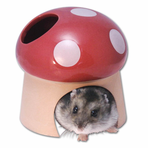 素焼きハウス きのこ