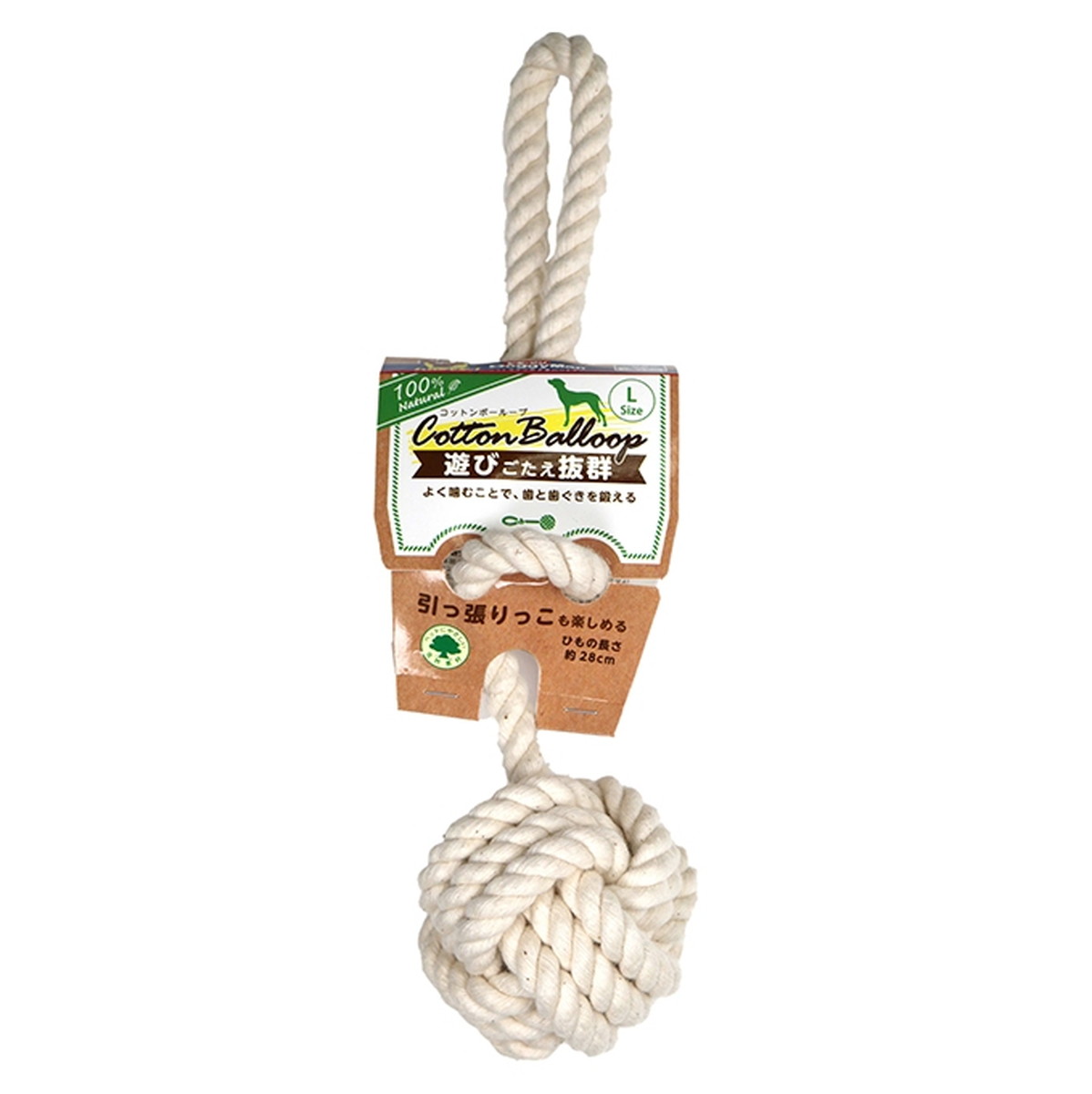 コットンボーループ Lサイズ